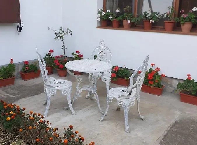 за гости подкова Шабла